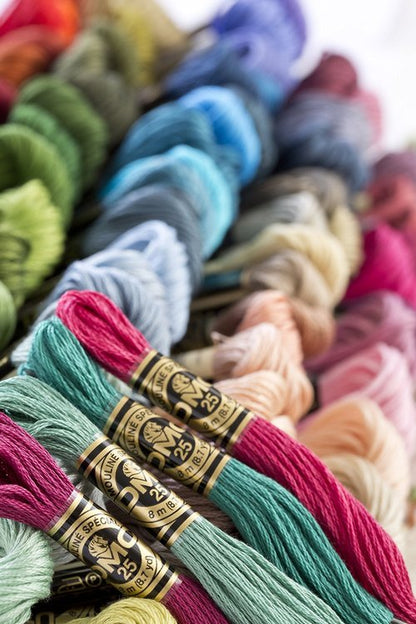 Dmc 6-Strand Embroidery Cotton 8.7yd-Golden Olive