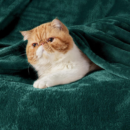 Bedsure GentleSoft Fleece Blanket - Lightweight Plush Cozy Twin Size in Emerald Green, 60x80 Inches