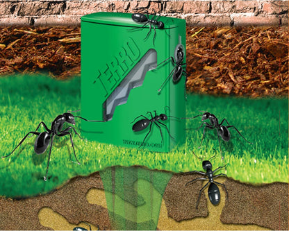 TERRO Outdoor Liquid Ant Bait Stakes - Effective Ant Control | 2 Pack