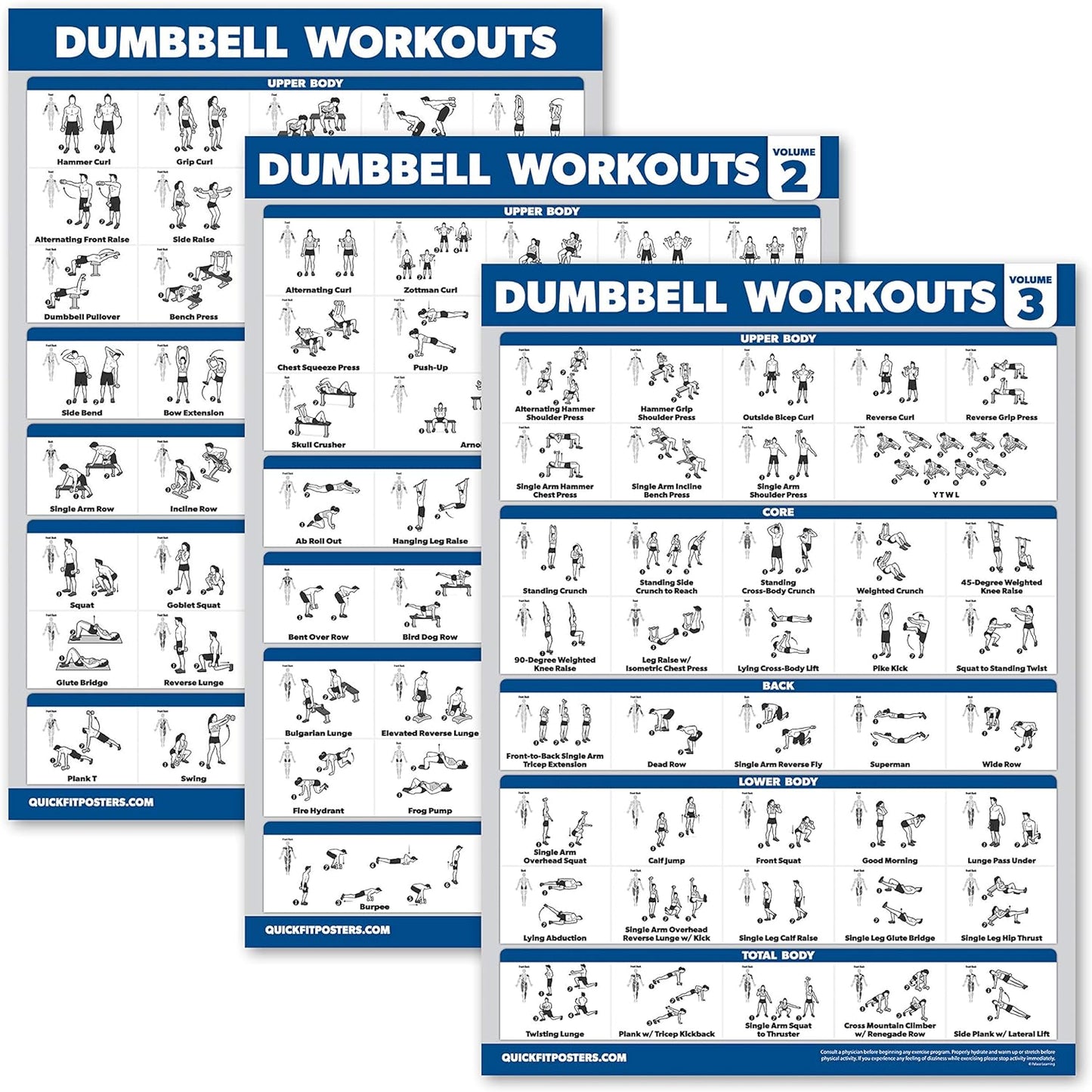 Palace Learning Dumbbell Workout Posters - Laminated Exercise Charts (18" x 24") | 3 Pack Volumes 1-3