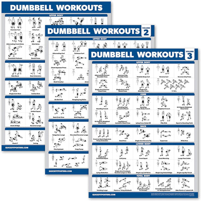 Palace Learning Dumbbell Workout Posters - Laminated Exercise Charts (18" x 24") | 3 Pack Volumes 1-3