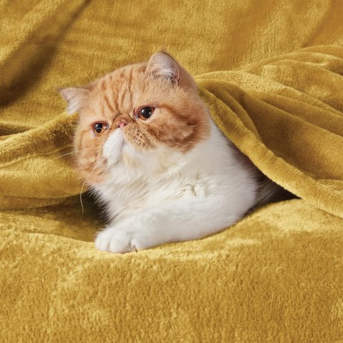 Bedsure GentleSoft Fleece Blanket - King Size Gold Yellow, Soft & Lightweight Plush Microfiber, 108x90 Inches