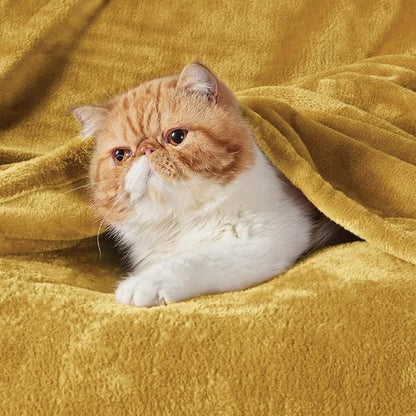 Bedsure GentleSoft Fleece Throw Blanket - XL 300GSM Plush & Cozy in Yellow | Perfect for Bed, Sofa, Travel (50x70 inches)