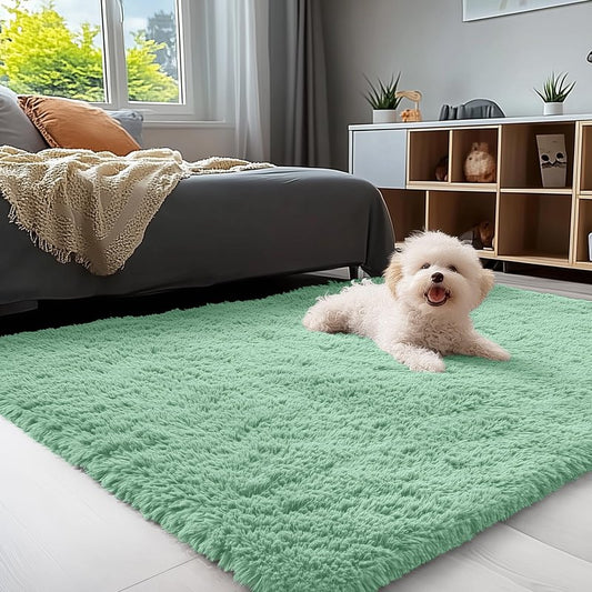 OLANLY 3x5 Machine Washable Small Bedside Rug, Soft Fluffy Shaggy Rugs for Living Room, Bedroom, Indoor Floor Carpet for Kids Girls and Boys, Preppy Dorms, Nursery, Home Decor Aesthetic, Mint Green