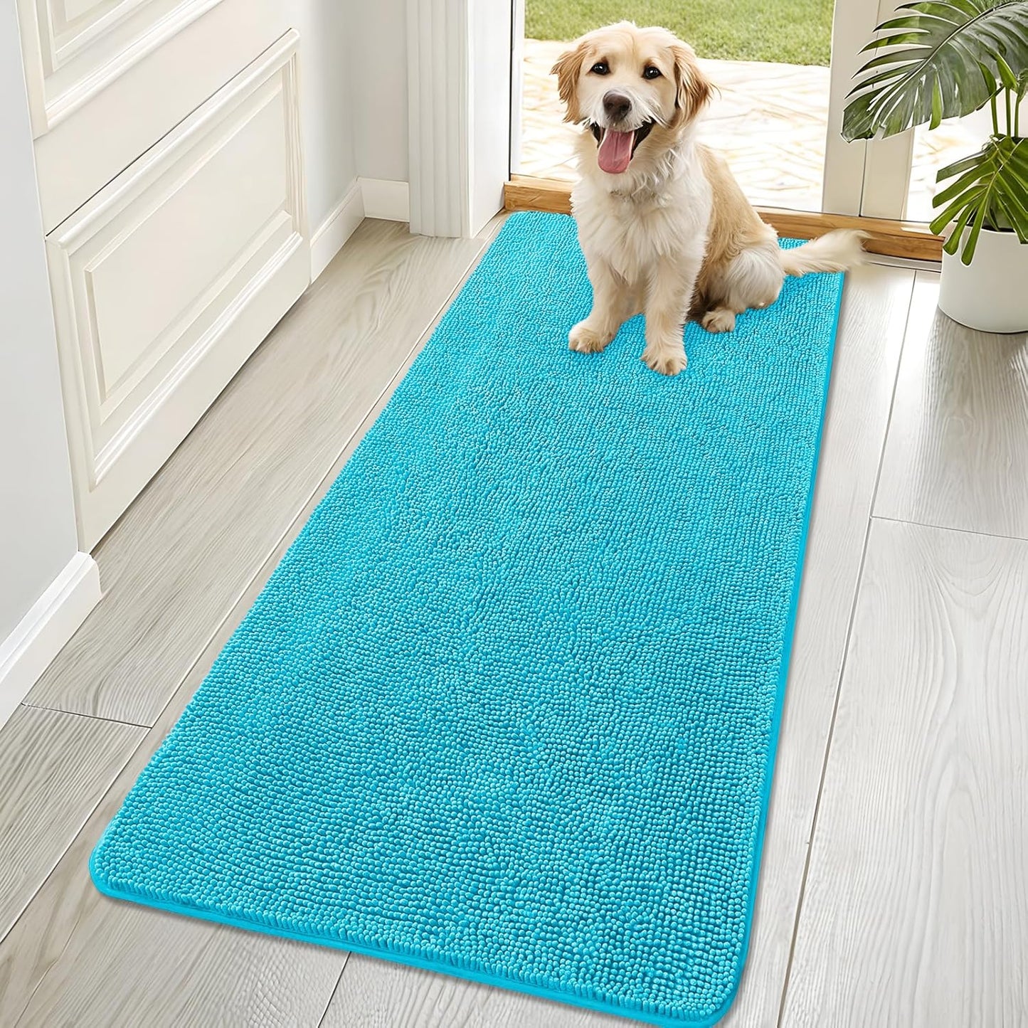 OLANLY Dog Door Mat - Absorbent Non-Slip Mud Mat for Muddy Paws | Quick Dry Chenille, 70x32, Aqua Blue