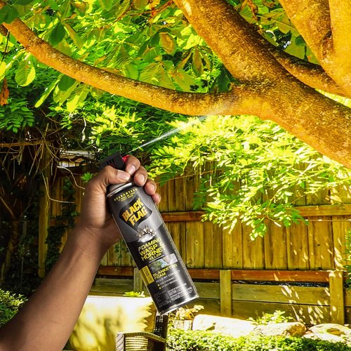 Black Flag Foaming Wasp and Hornet Killer - 14 Ounce Aerosol Insecticide Spray | 12 Pack