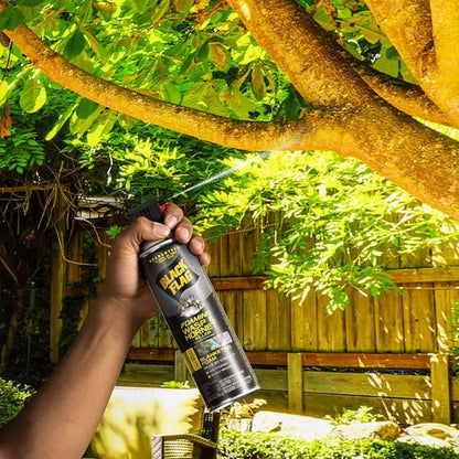 Black Flag Foaming Wasp and Hornet Killer - 14 Ounce Aerosol Insecticide Spray | 12 Pack