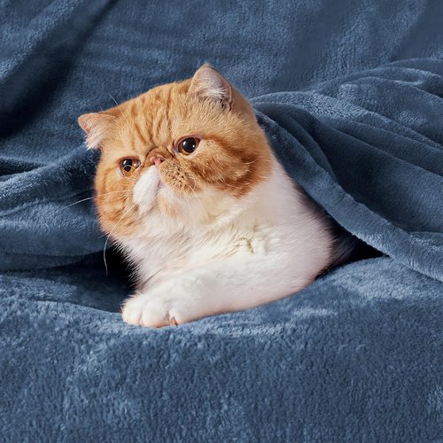 Bedsure GentleSoft Fleece Throw Blanket - XL Plush Cozy 300GSM in Mineral Blue | 50x70 Inches for Bed & Travel