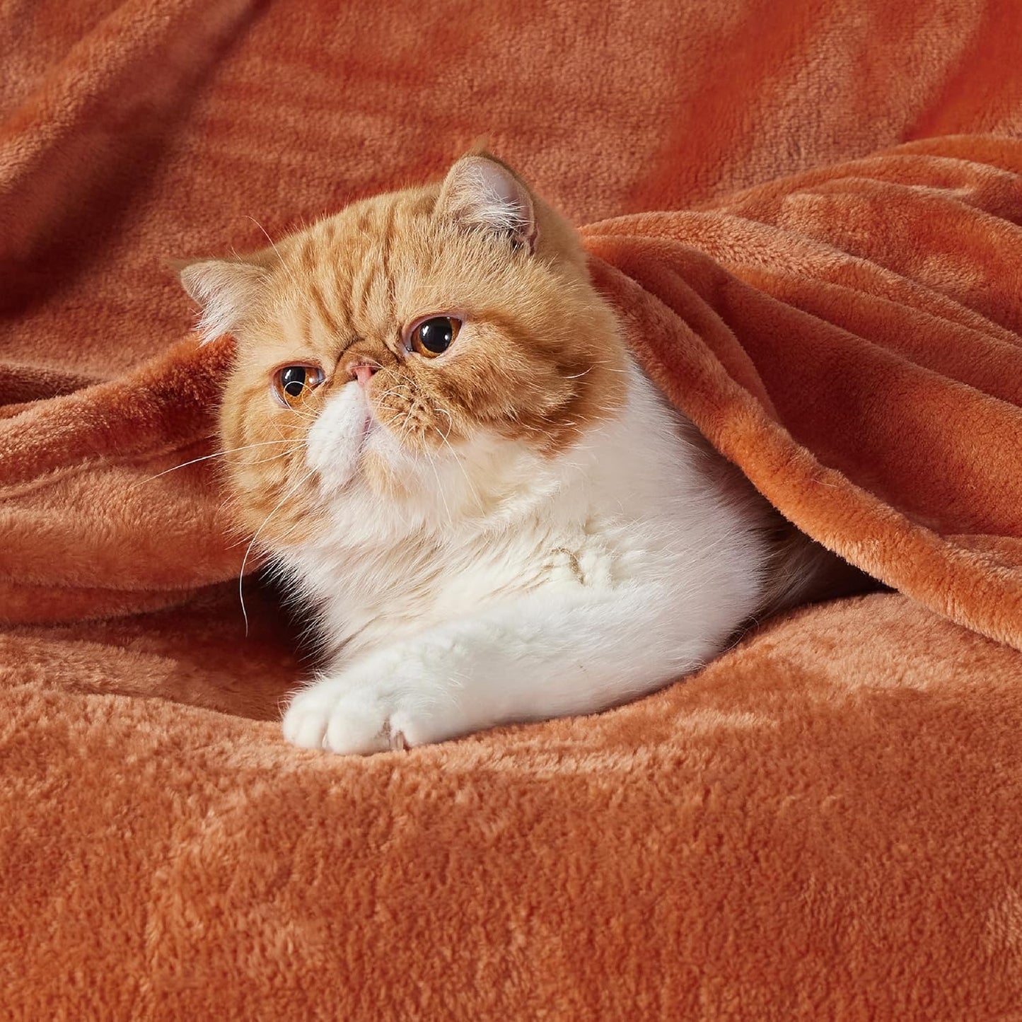 Bedsure GentleSoft Fleece Blanket - Cozy Small Throw for Kids | 43x55 Inches, Dark Orange