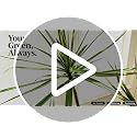 4ft Dracaena Marginata Artificial Tree with 3-Heads - Faux Indoor Plant, Variation: 3ft 11in