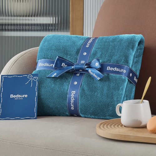 Bedsure GentleSoft Bedding Fleece Blanket for Girls and Boys - Soft Cozy Cute Small Throw Blankets for Travel, 43x55 Inches,Teal Blue