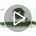 Artgar 6 Ft Christmas Cedar Garland - Realistic Greenery Cypress Decorations - Green
