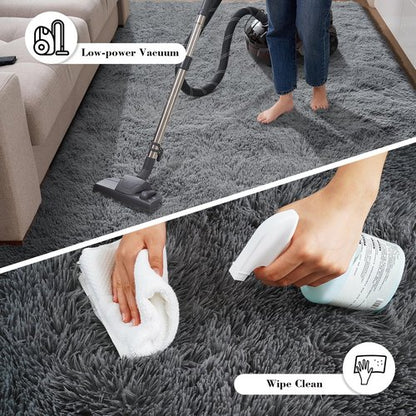 Fluffy Rug Shaggy Area Rug, Grey 2x4 Area Rugs for Bedroom, Small Bedside Rug, Soft Fluffy Shaggy Entryway Throw Rugs for Living Room Bedroom Kids Room Home Decor