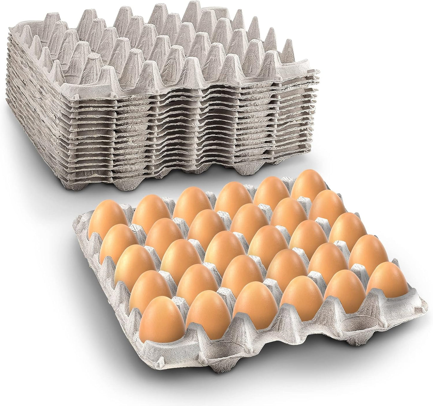 MT Products Egg Cartons - Durable Pulp Fiber Holds 30 Eggs | Pack of 15 - Made in the USA