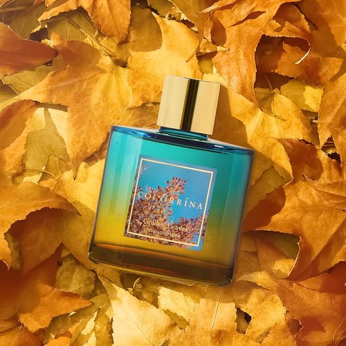Cocorrína Reed Diffuser - Golden Leaves Set with 8 Sticks & Preserved Baby's Breath | Home Decor