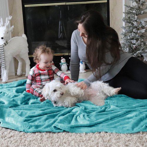 Bedsure GentleSoft Fleece King Size Blankets for Bed River Blue - Soft Lightweight Plush Cozy Fuzzy Luxury Microfiber, 108x90 inches