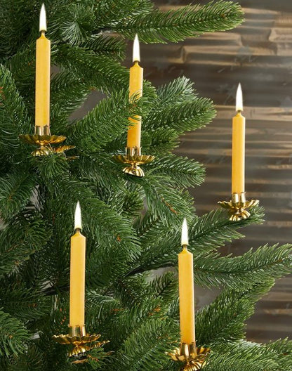 BRUBAKER 100% Beeswax Tree Candles - Honey Colored - Pack of 20 | 3¾ x ½ Inches (9.5 x 1.27cm) - Made in Europe