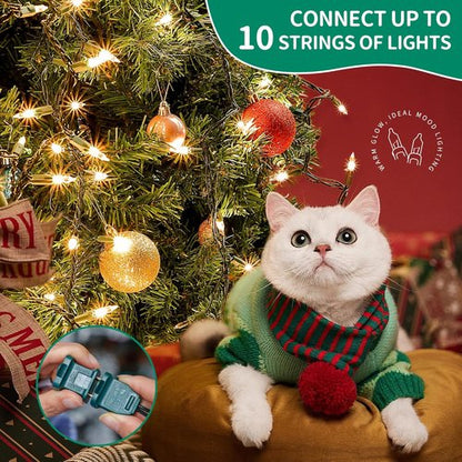 HEYFUNi Clear Christmas Lights - 50 Count Mini String Lights for Indoor/Outdoor Use - 13 Feet Green Wire