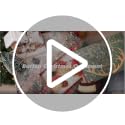 Fresh 24 Pcs Burlap Christmas Ornaments Set with Mini Stockings & Rustic Decorations
