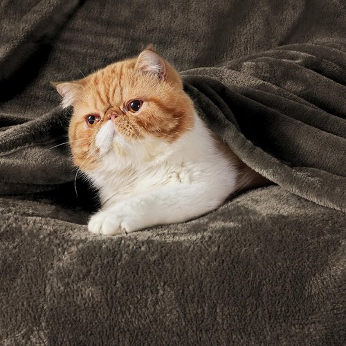 Bedsure GentleSoft Brown Fleece Blanket - King Size Plush Cozy Microfiber, 108x90 Inches