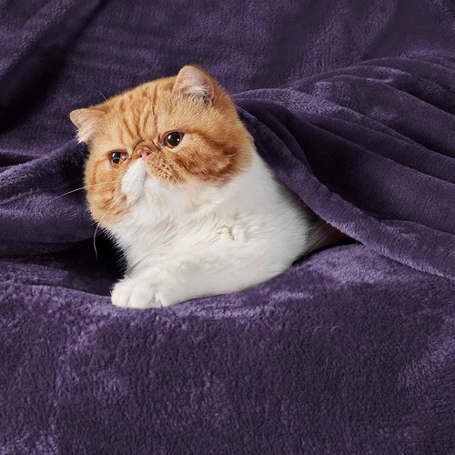Bedsure GentleSoft Fleece Blanket - Lightweight Plush Cozy Twin Size Purple 60x80 Inches for Home & Travel