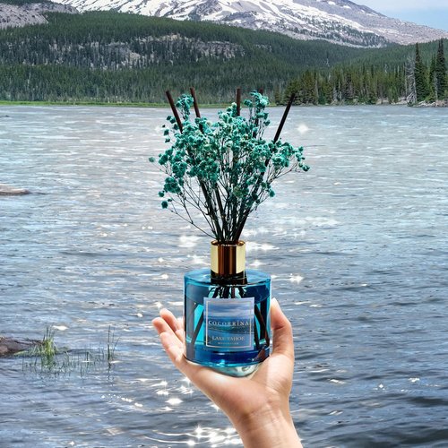 COCORRÍNA Reed Diffuser - Lake Tahoe 6.7 Fl. Oz Set with 8 Sticks & Preserved Baby's Breath | Home Decor