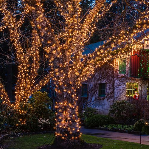 HISHINY Christmas Lights - 100 Count Mini Clear String Lights | 32ft White Wire for Indoor/Outdoor Decor