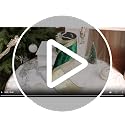 Green Crushed Velvet Wired Ribbon 4 Inch x 10 Yards - Elegant Holiday Decor