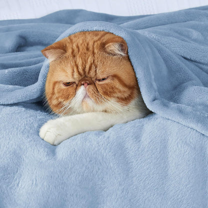 Bedsure GentleSoft Fleece Throw Blanket - Lightweight Plush Cozy Blanket for Couch, Light Blue, 50x60 Inches