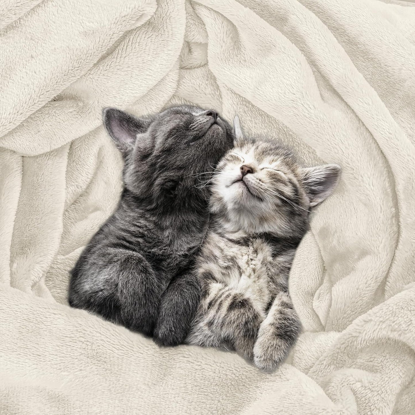 Utopia Bedding Fleece Blanket - Ultra Soft Twin Size (60x80 Inches) | Cozy, Warm & Lightweight Winter Decor