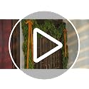 6 Ft Christmas Artificial Cedar Garland - Realistic Holiday Decor - Variation of 1