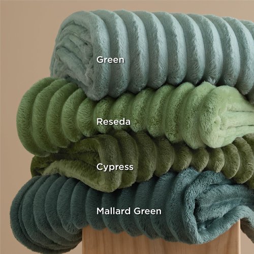 Bedsure GentleSoft Sage Green Throw Blanket for Couch - Cozy Soft Spring Blankets for Women, Cute Small Fleece Throws Spring Gifts for Women Teen Girls, Sage Green Decor Room Home, 50x60 Inches