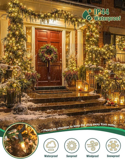 Hopolon Clear Christmas Lights Set - 50 Count Mini String Lights on Green Wire - 13 Feet for Indoor/Outdoor Decor