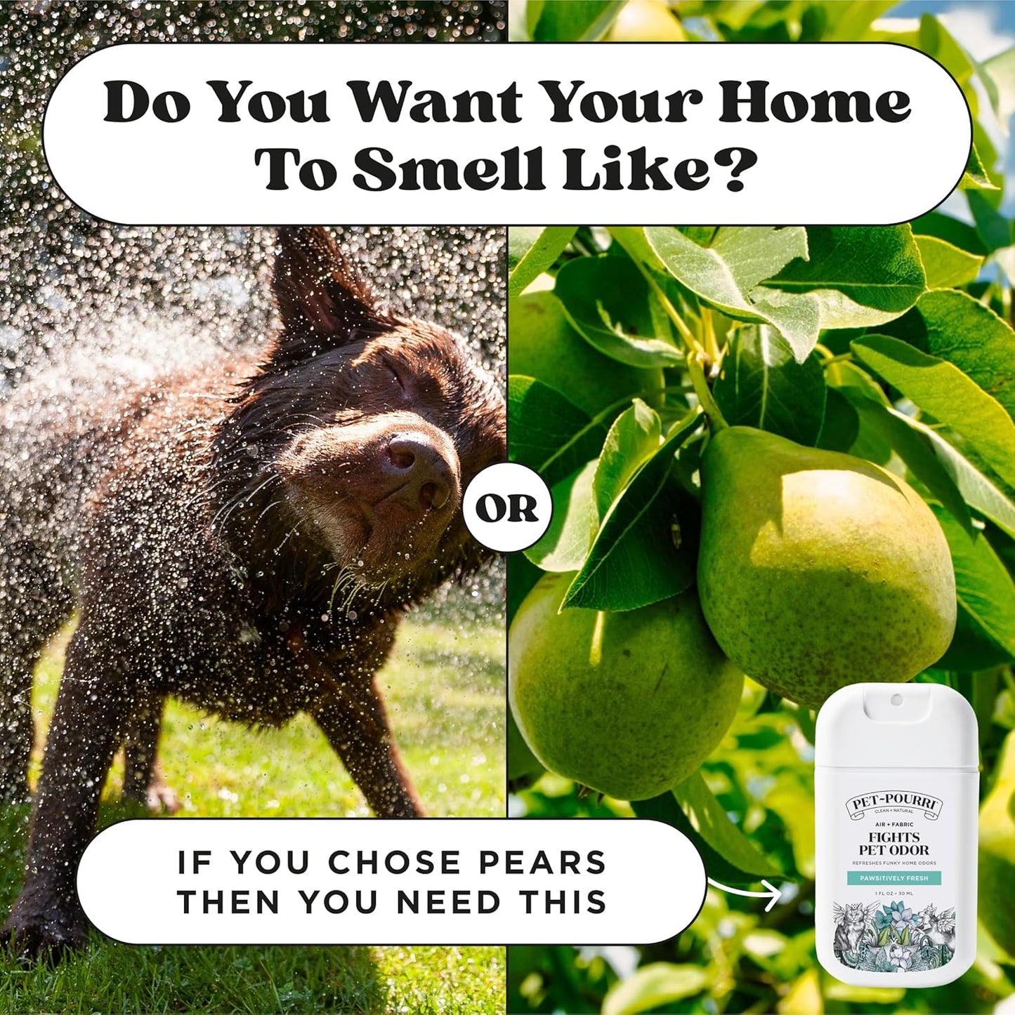 Poo-Pourri Pawsitively Fresh Pocket Deodorizer Spray - Natural Pet Odor Remover for Dogs & Cats - Vet Recommended