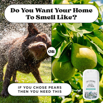 Poo-Pourri Pawsitively Fresh Pocket Deodorizer Spray - Natural Pet Odor Remover for Dogs & Cats - Vet Recommended