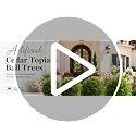 Artificial Cedar Topiary Ball Trees Set - UV-Resistant Outdoor Decor
