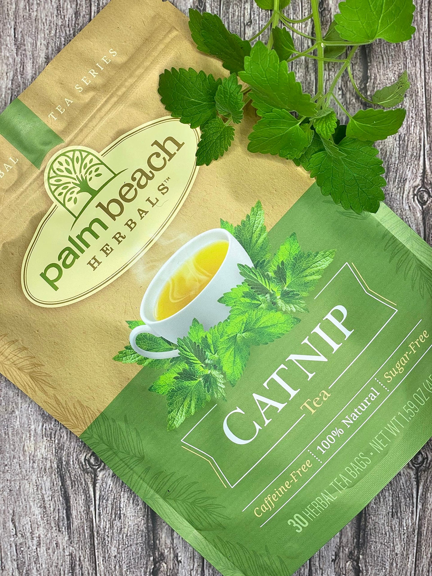 Catnip Tea - Pure Herbal Tea Series by Palm Beach Herbals (30ct) [Packaging May Vary]