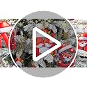26 Letter Christmas Tree Ornaments - Personalized Alphabet Hanging Decor - M