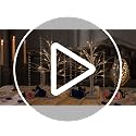 Lighted Birch Tree Decor Set - 2ft White Holiday Wedding Christmas Centerpieces