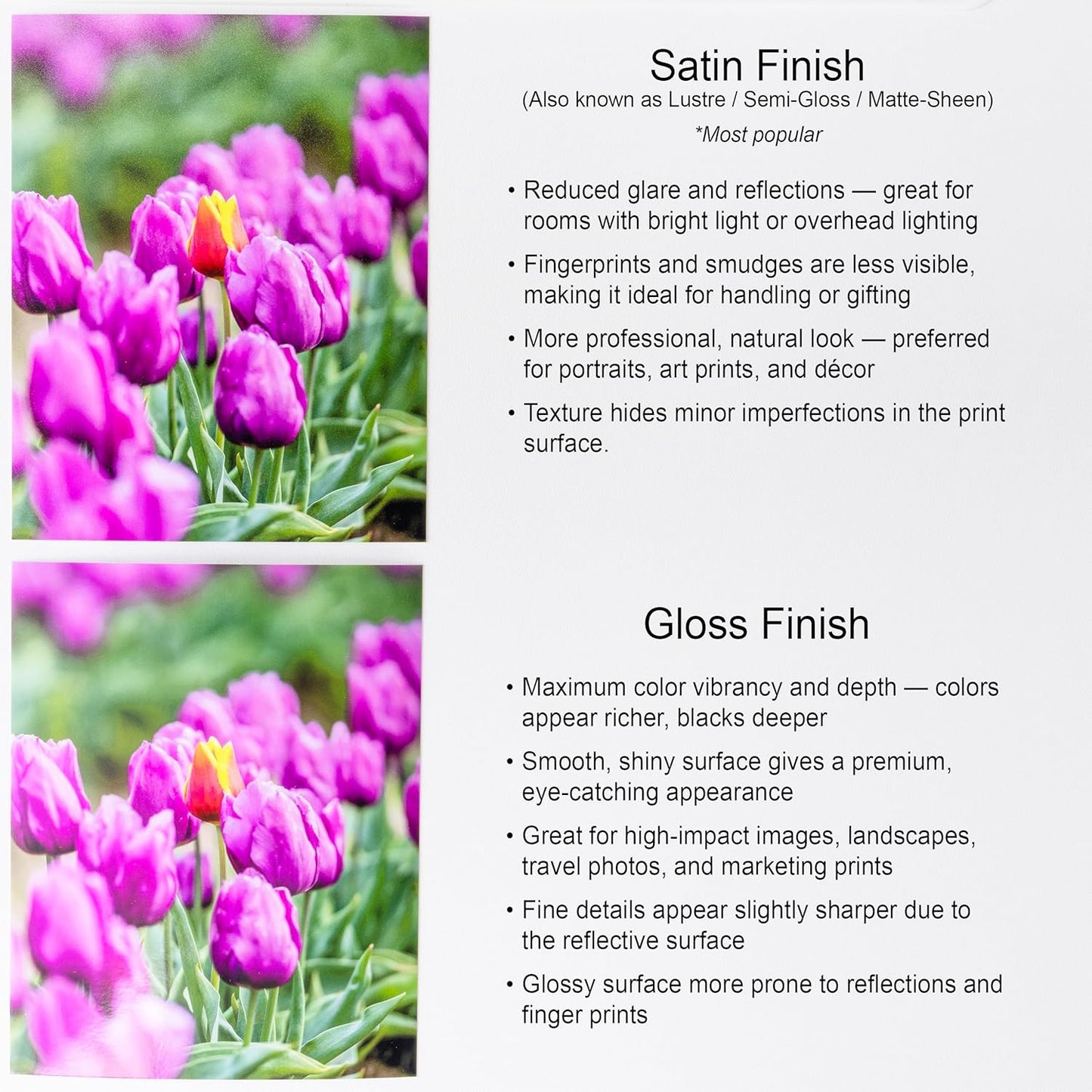 Premium Custom Photo Prints - Upload Your Image for Professional Enhancement | 5"x7" Size Available