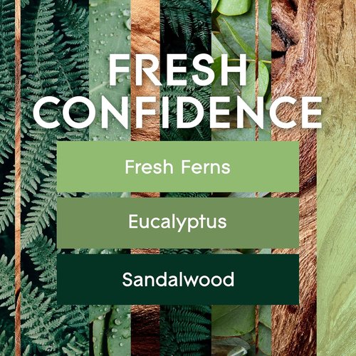 Glade Air Freshener Spray - Fresh Confidence Limited Edition | Essential Oils Infused, 8 oz, Pack of 6