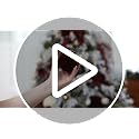 Sea Team 25-Pack Cream Flocked Velvet Christmas Ornaments 60mm - Holiday Decor