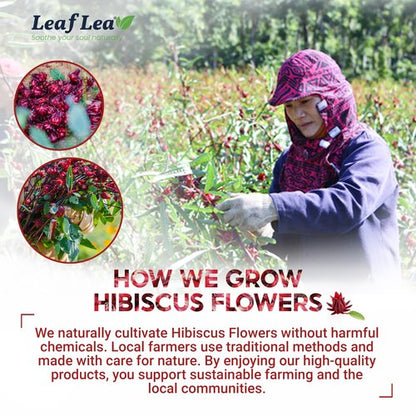 LeafLea 40 Premium Natural Hibiscus Tea Bags, 100% Pure from Hibiscus Flowers, Caffeine-Free Herbal Tea, Hibiscus Flower Tea Rich in Natural Goodness and Flavor, No Sugar, Gluten-Free, Vegan