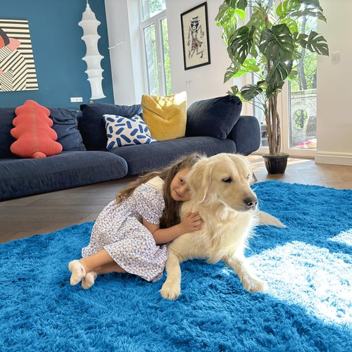 OLANLY 6x9 Machine Washable Large Area Rugs for Living Room, Bedroom, Soft Fluffy Shaggy Bedside Rug, Indoor Floor Carpet for Kids Girls and Boys, Dorms, Nursery, Home Decor Aesthetic, Bright Blue