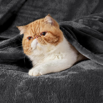 Bedsure GentleSoft Fleece Blanket - Soft, Lightweight, Plush Cozy Luxury in Dark Grey | Queen Size 90x90 Inches