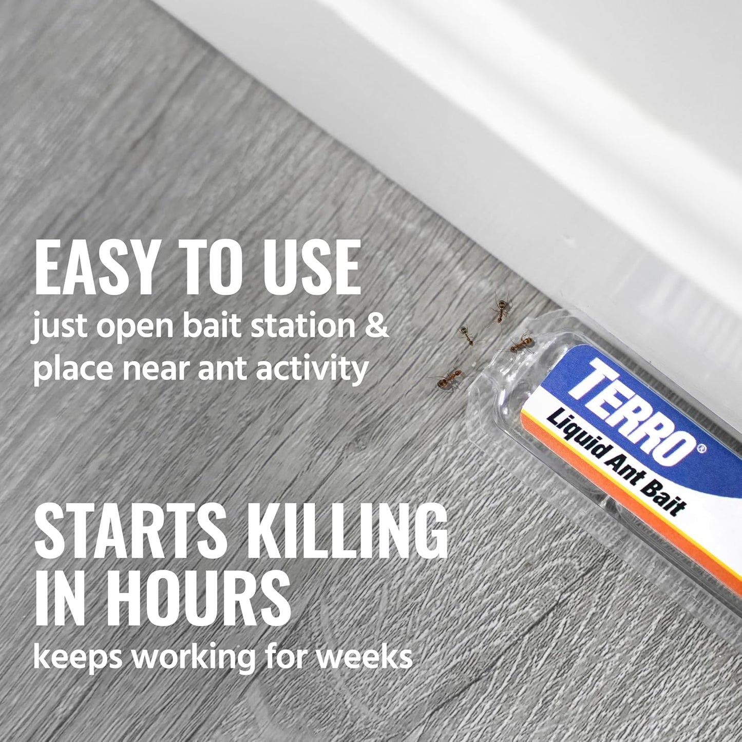 TERRO Ant Killer Bait Stations T300B - Liquid Bait for Effective Indoor Ant Control - 12 Count