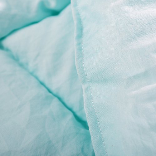 EVOLIVE All Season Pre Washed Soft Microfiber White Goose Down Alternative Comforter with Box Stitching (Mint, King)