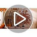 Artificial Fall Maple Trees 3ft with Pot - Colorful Autumn Decor Set of 2