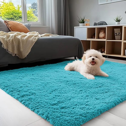 OLANLY 3x5 Machine Washable Small Bedside Rug, Soft Fluffy Shaggy Rugs for Living Room, Bedroom, Indoor Floor Carpet for Kids Girls and Boys, Preppy Dorms, Nursery, Home Decor Aesthetic, Teal