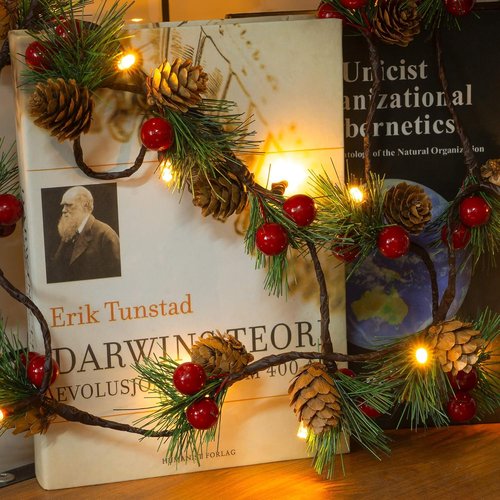 FUNPENY Christmas Pinecone String Lights - 20 LED Fall Garland with Red Berries | 6.56Ft Indoor/Outdoor Decor